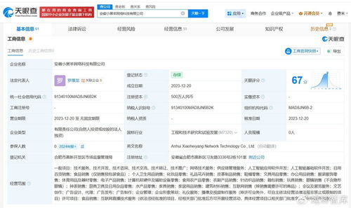 揭秘三只羊美國(guó)上市關(guān)聯(lián)公司 網(wǎng)絡(luò)技術(shù)服務(wù)如何賦能直播電商生態(tài)